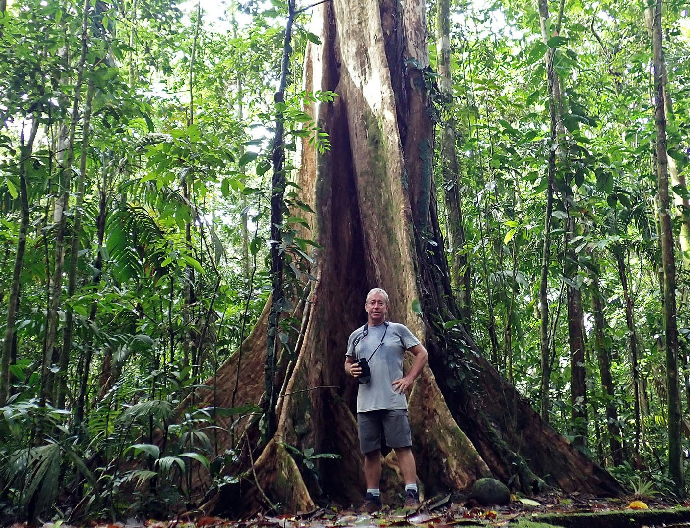 Vai al profilo di Damon Ramsey