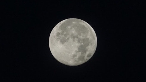 Go to Julian W's profile