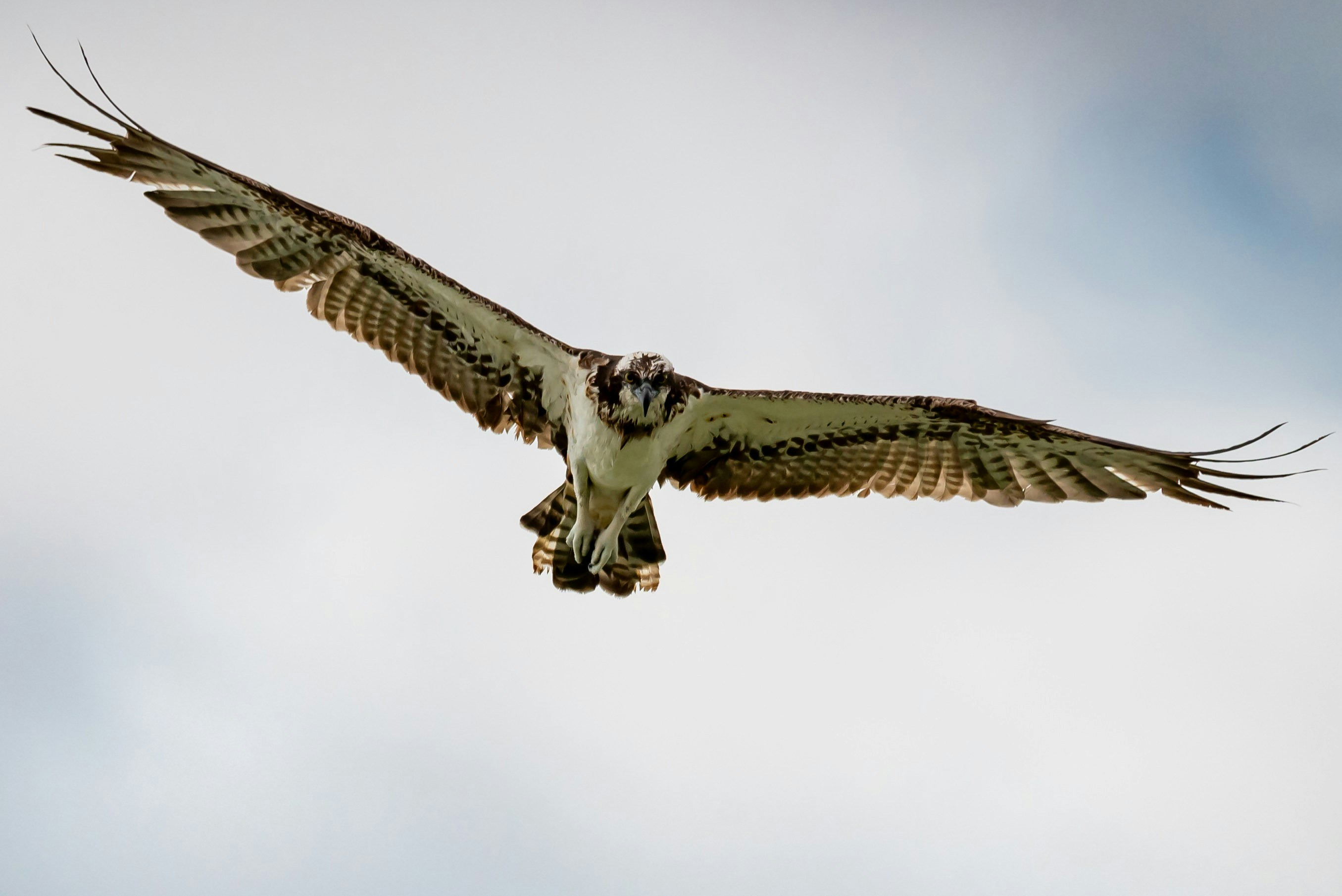 Zum Profil von Kirtesh Mahant