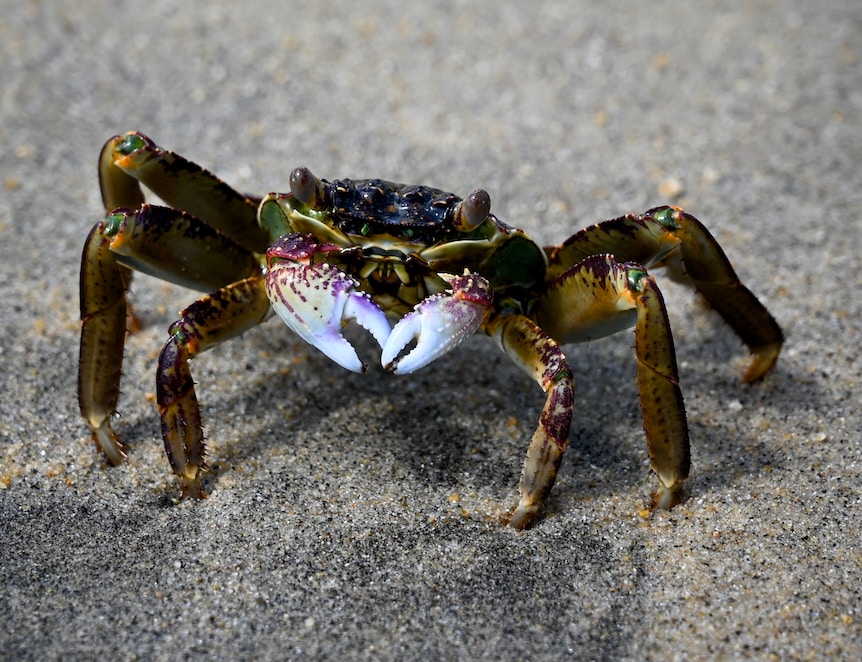 Go to Nick Guenov's profile