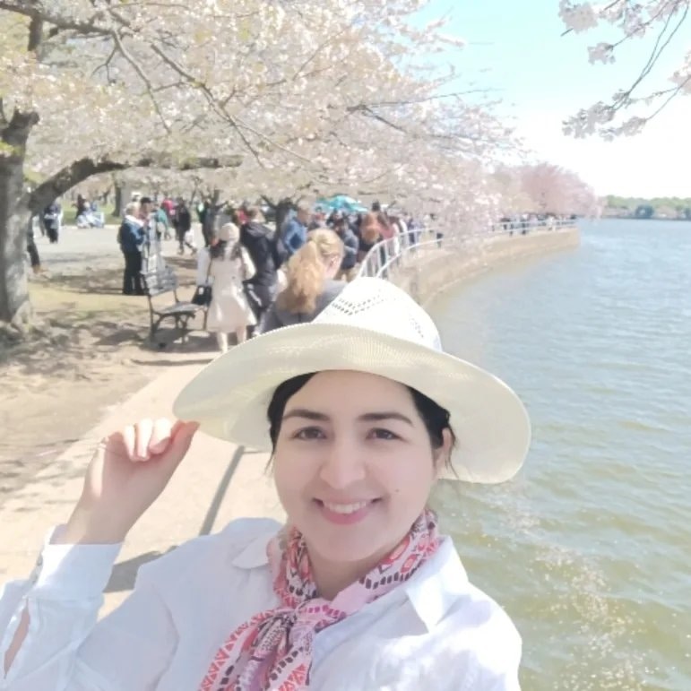 Go to Rose Bahmani's profile