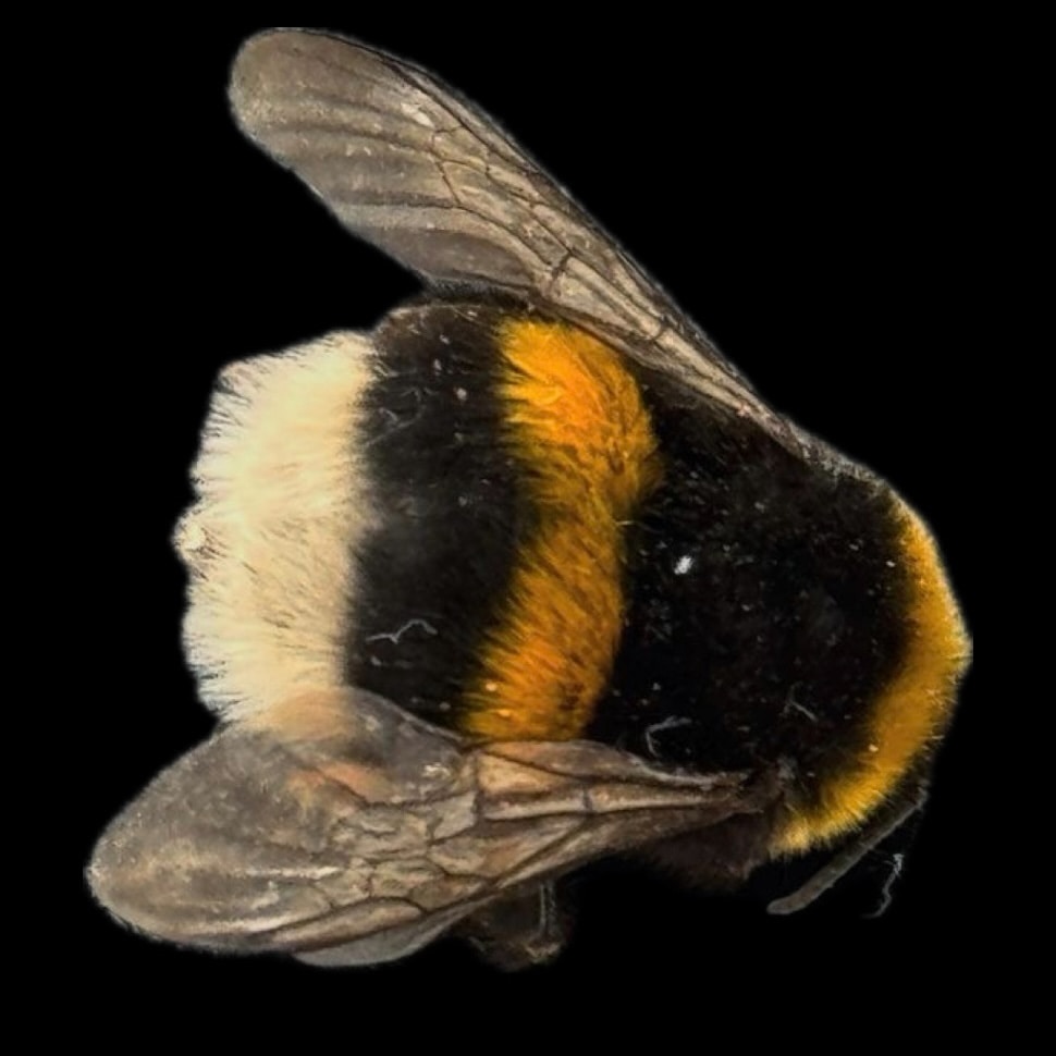 Go to halish's profile