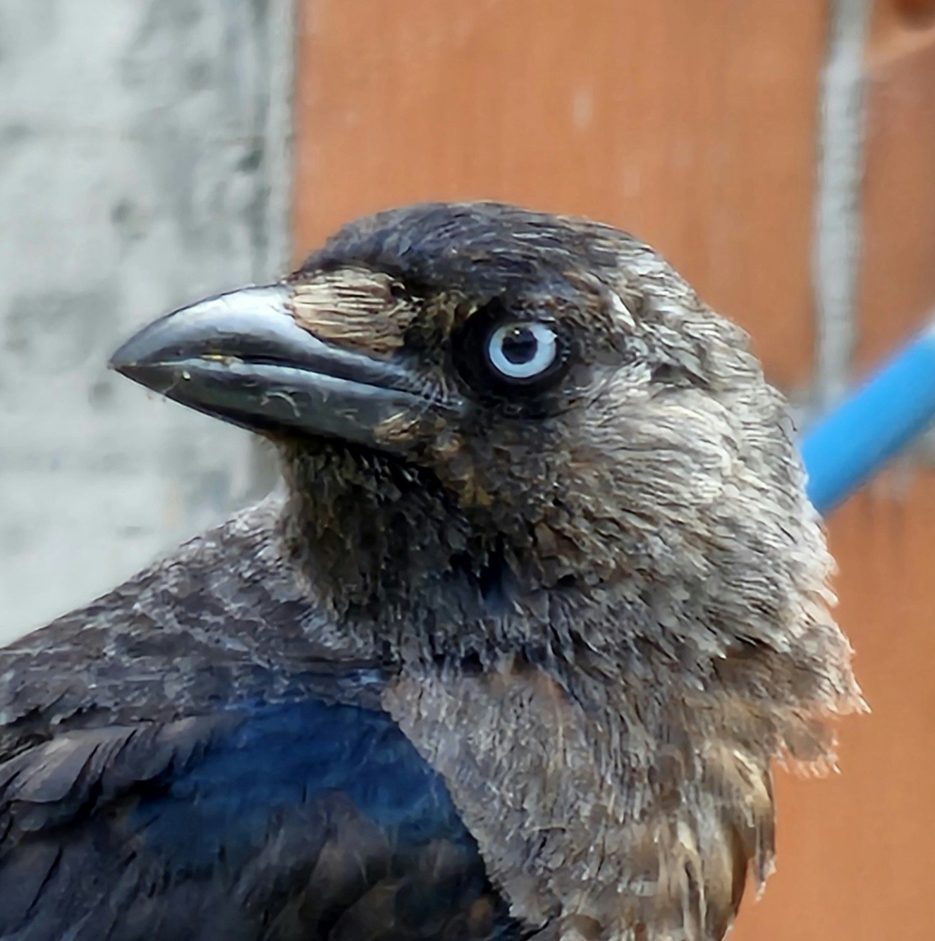 Artanのプロフィールを見る