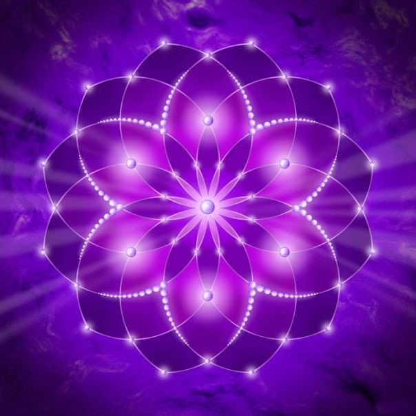 Go to Jonathan Slater's profile