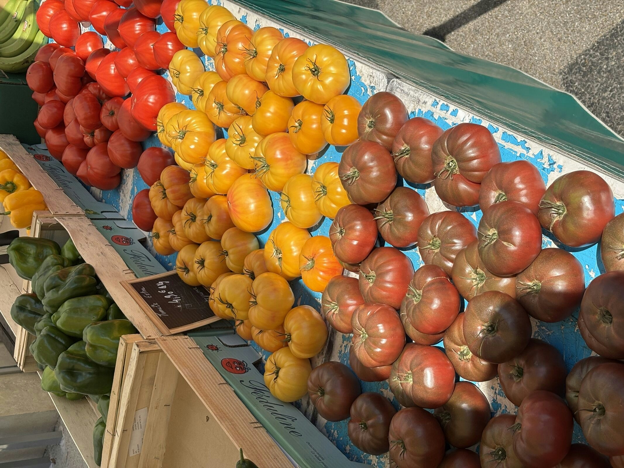 Go to Addisen's profile