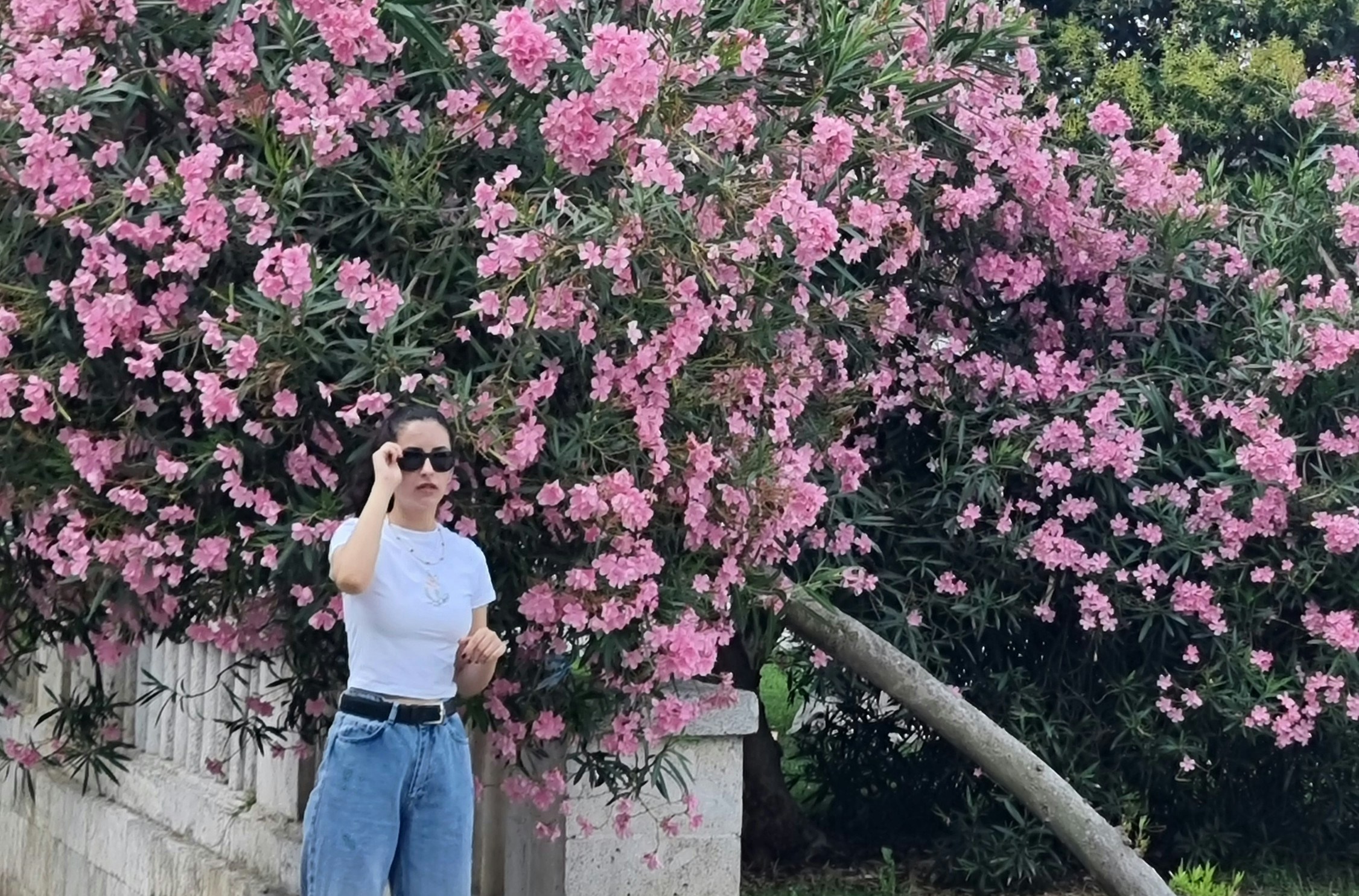 Go to Sara Pashakhanlou's profile