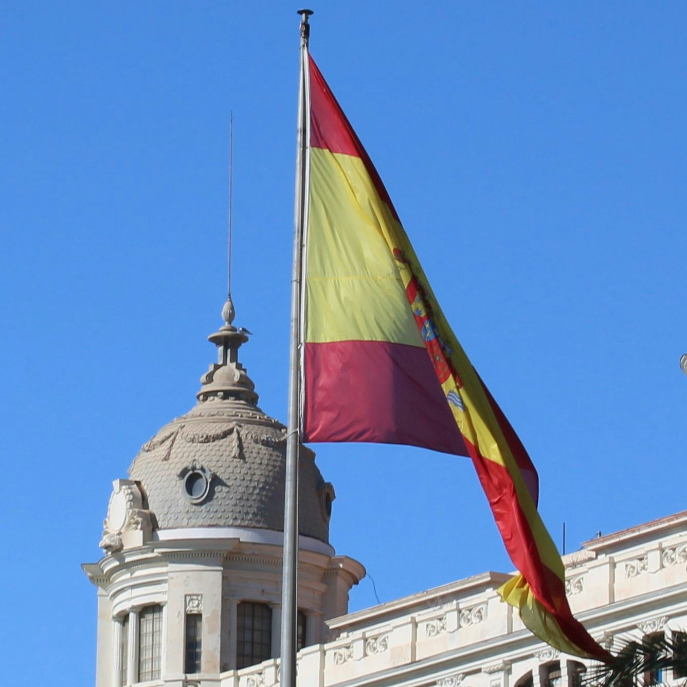 Ir para o perfil de John Pedley