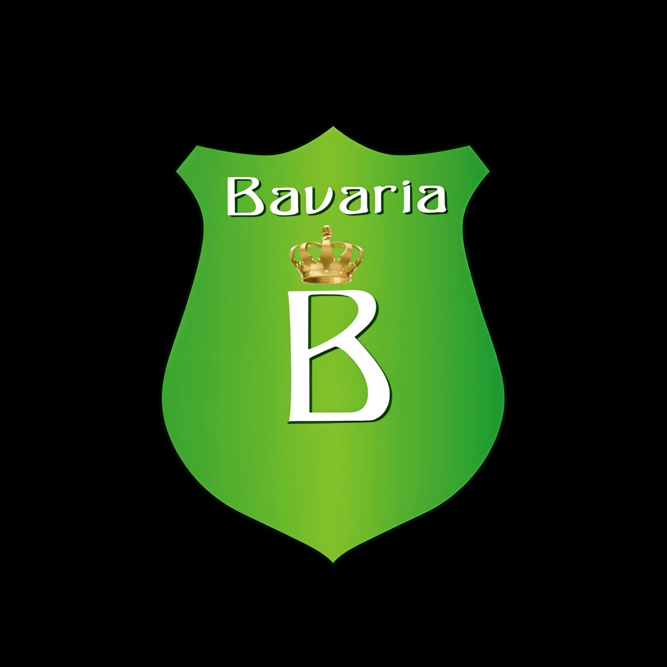 Go to Patrick Romila's profile