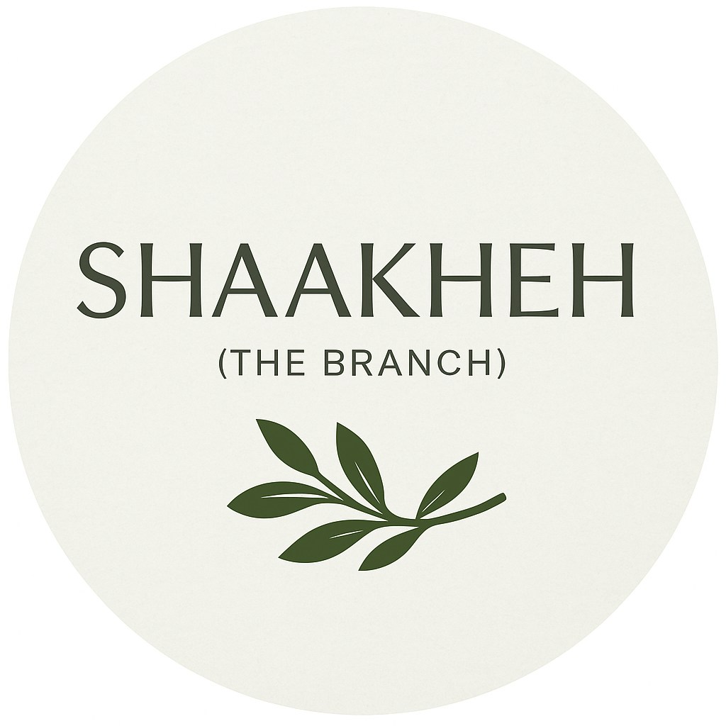 Go to Shaakheh's profile