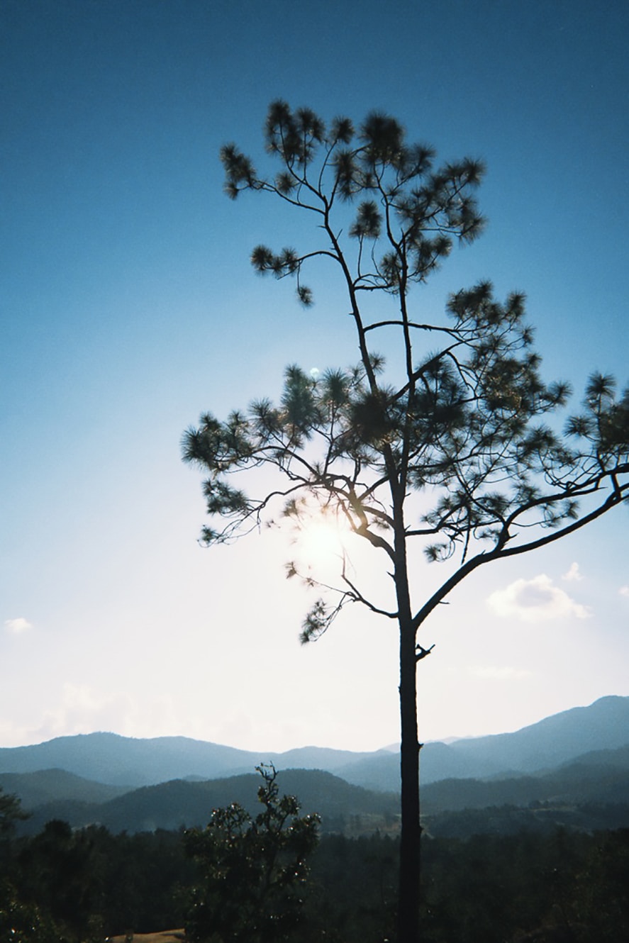 Go to Rylan Kealey's profile