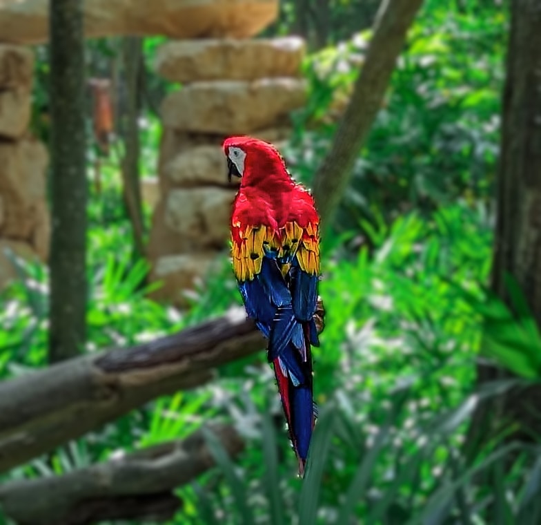 Ve al perfil de Shiv D