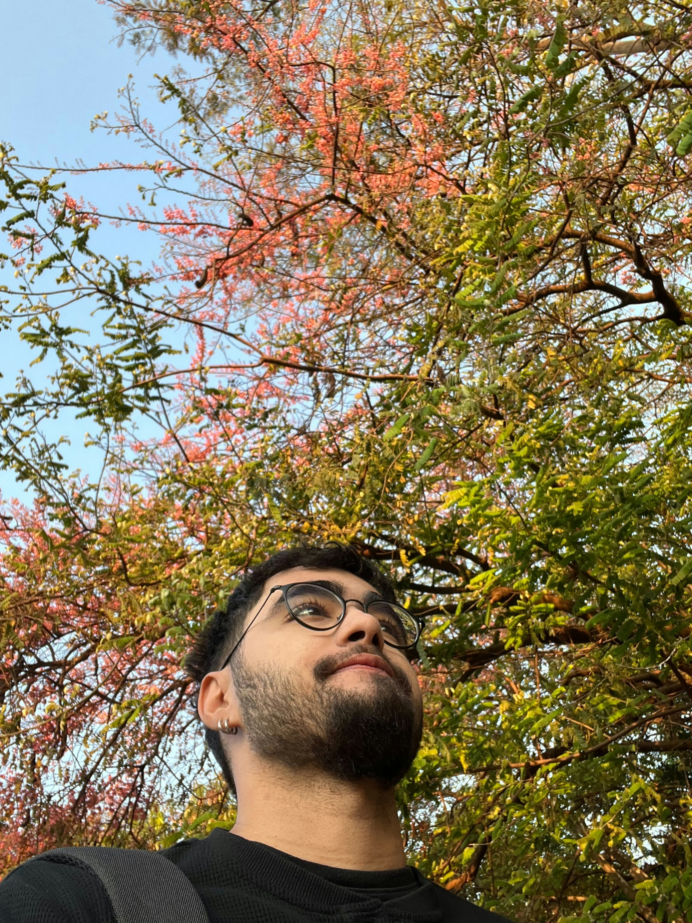 Go to Alexandre Melo's profile