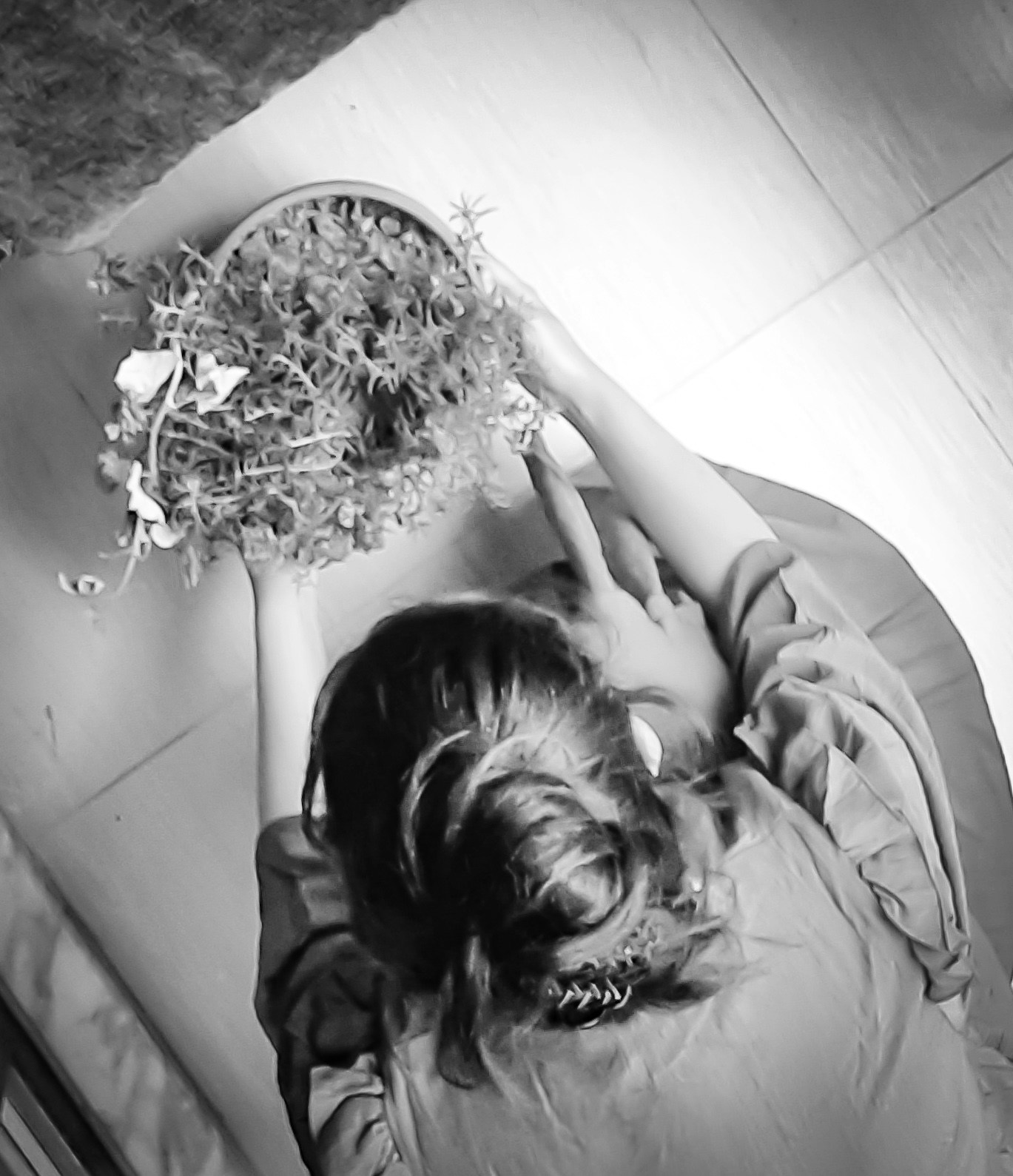 Accéder au profil de Burcu