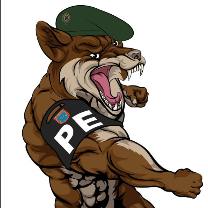 Go to Nicolas's profile