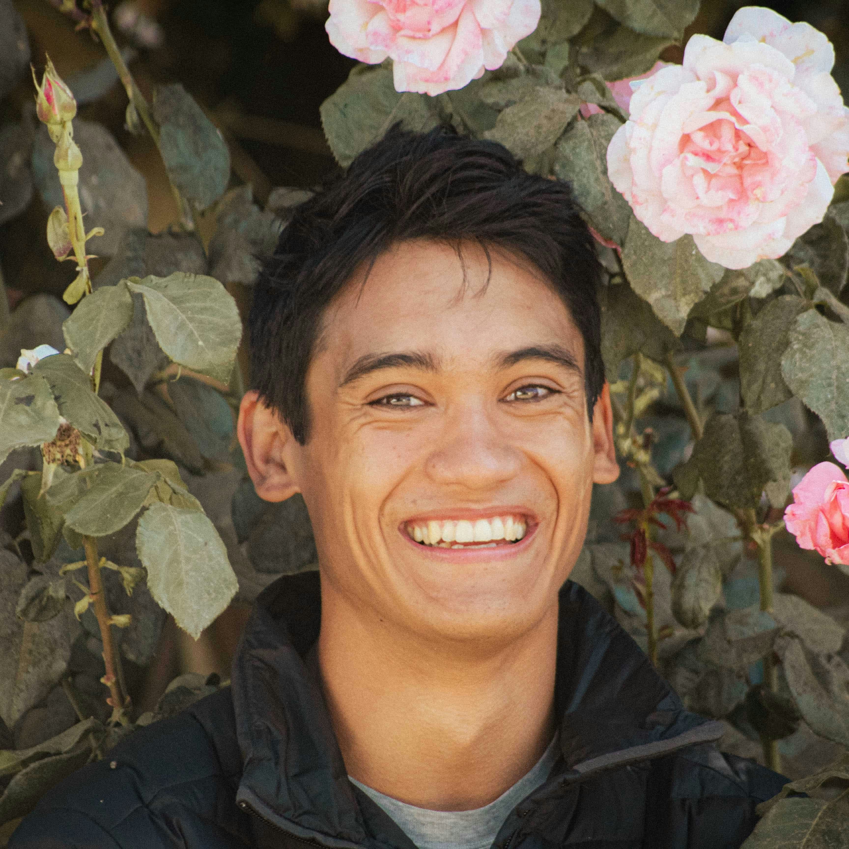 Go to Junipero Verbeke's profile