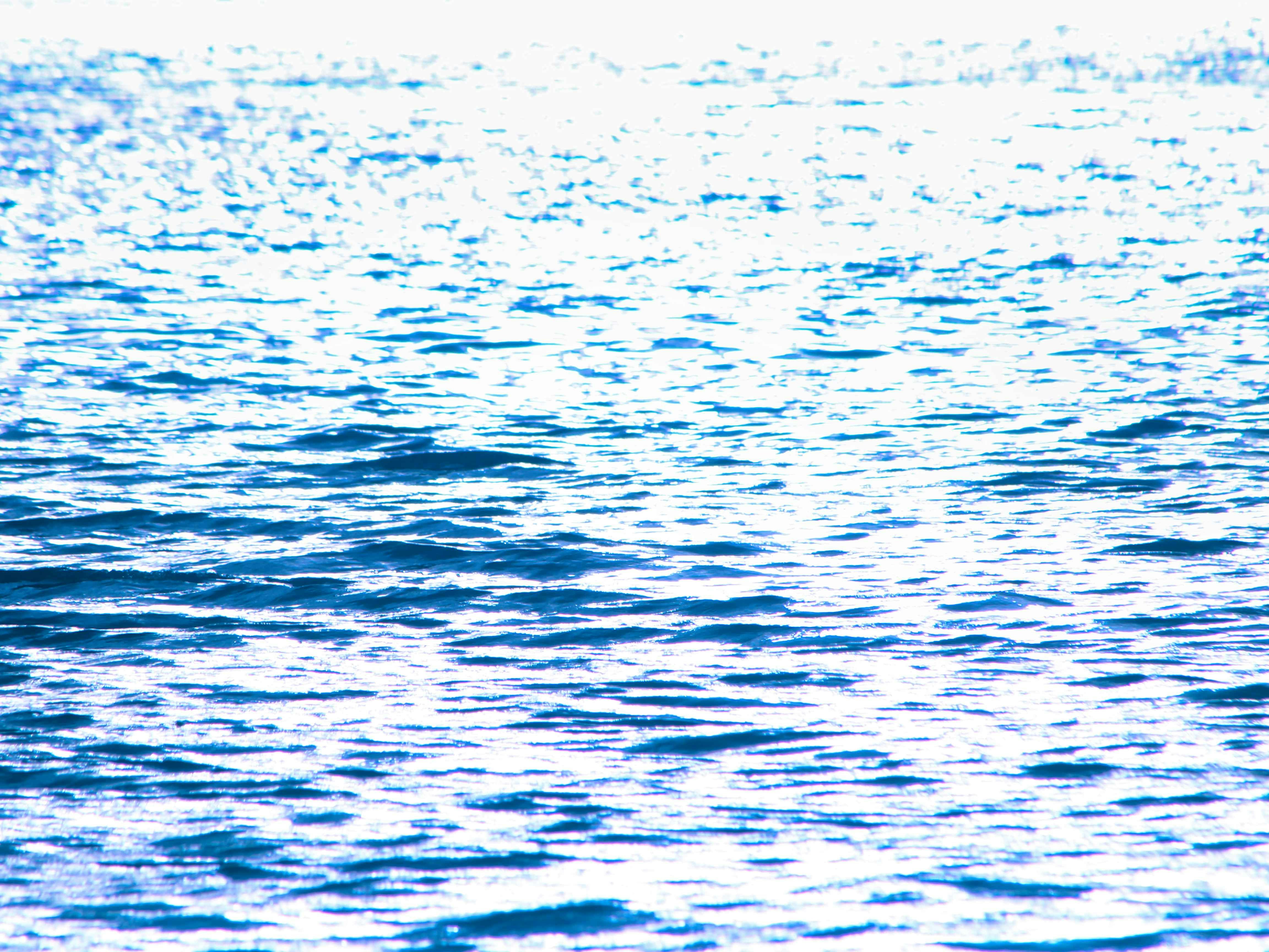 Go to Felipe's profile