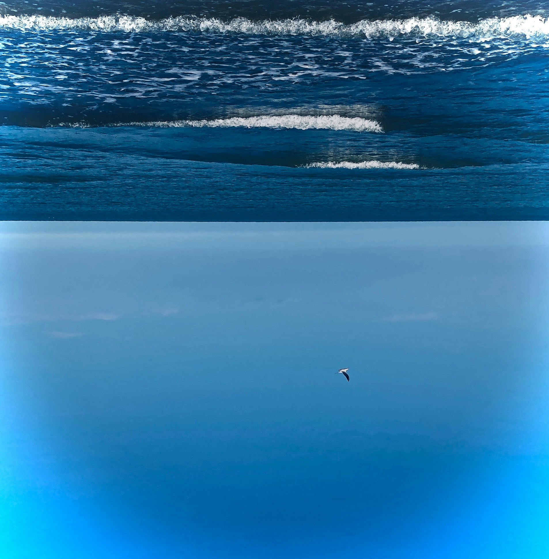 Go to Darya Kazemi's profile