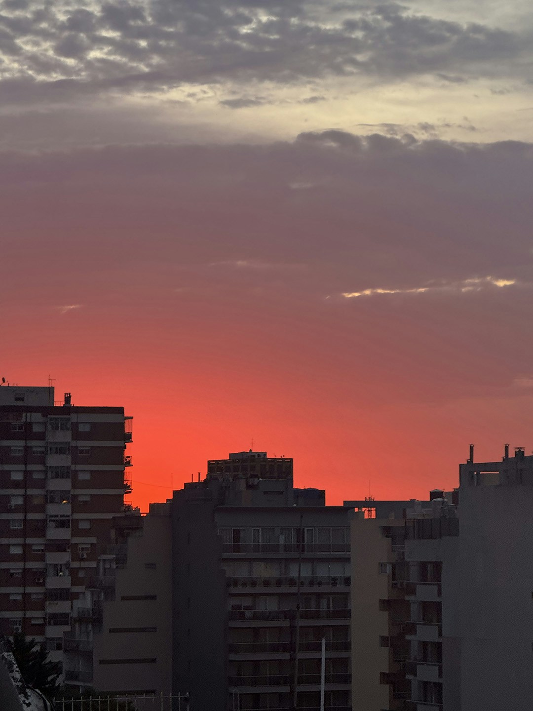 Go to Telmo Filho's profile