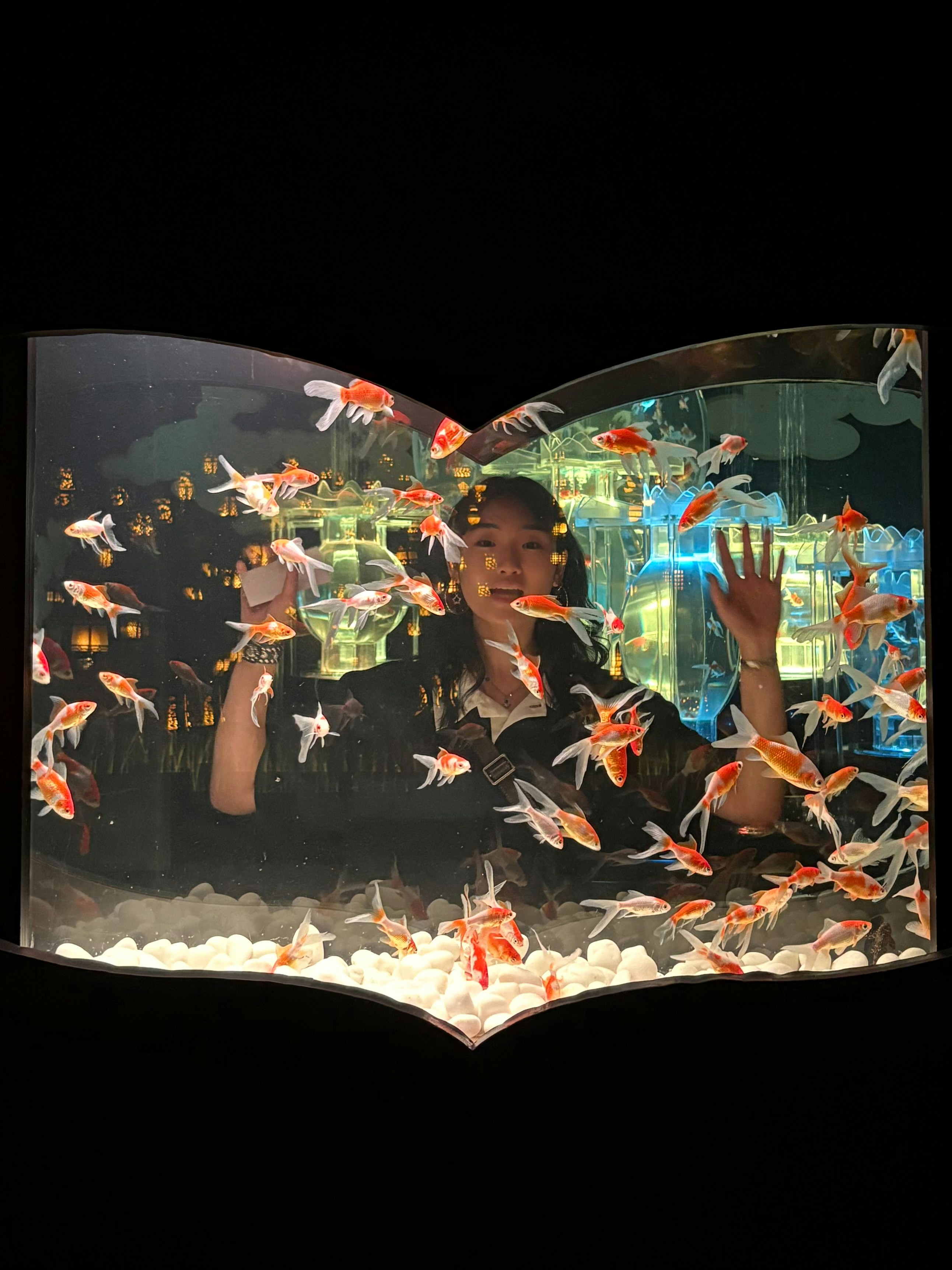 Go to Ange Chang's profile