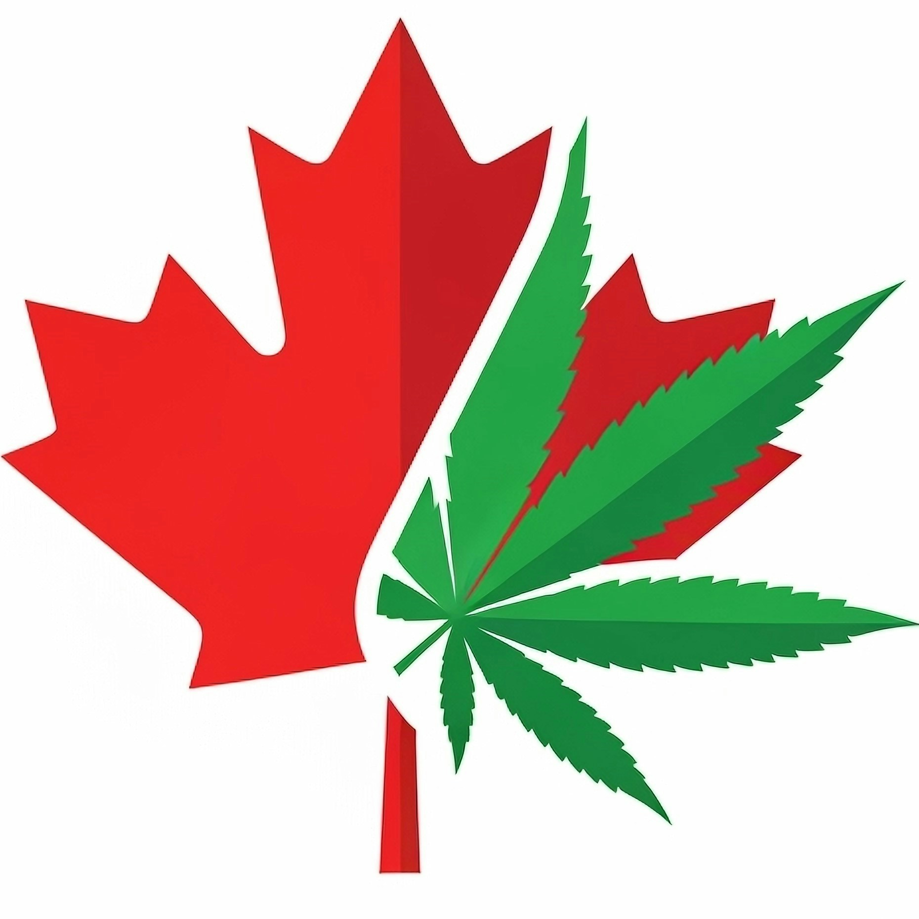 Zum Profil von Indorgro