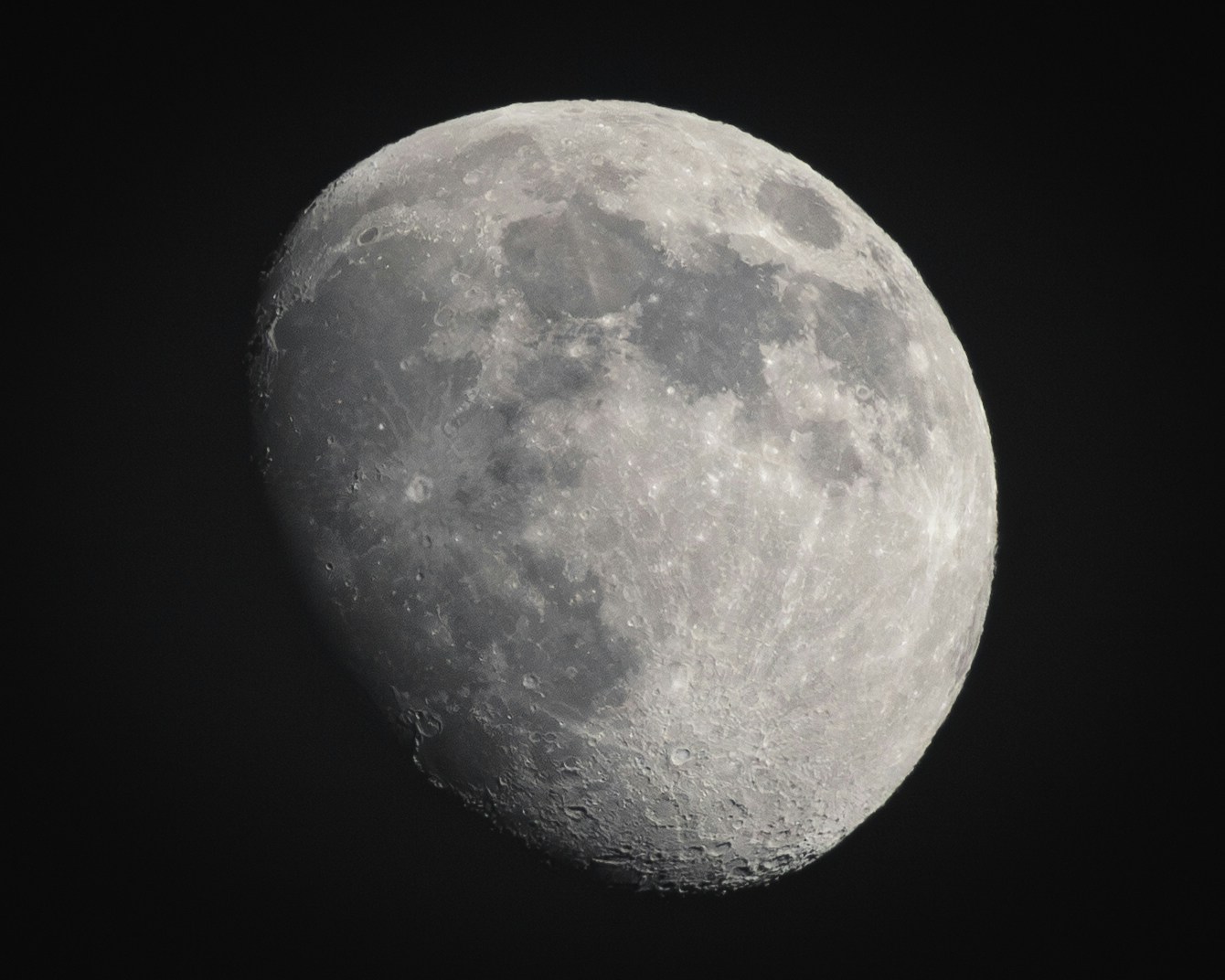 Avatar of user Rowan Brown