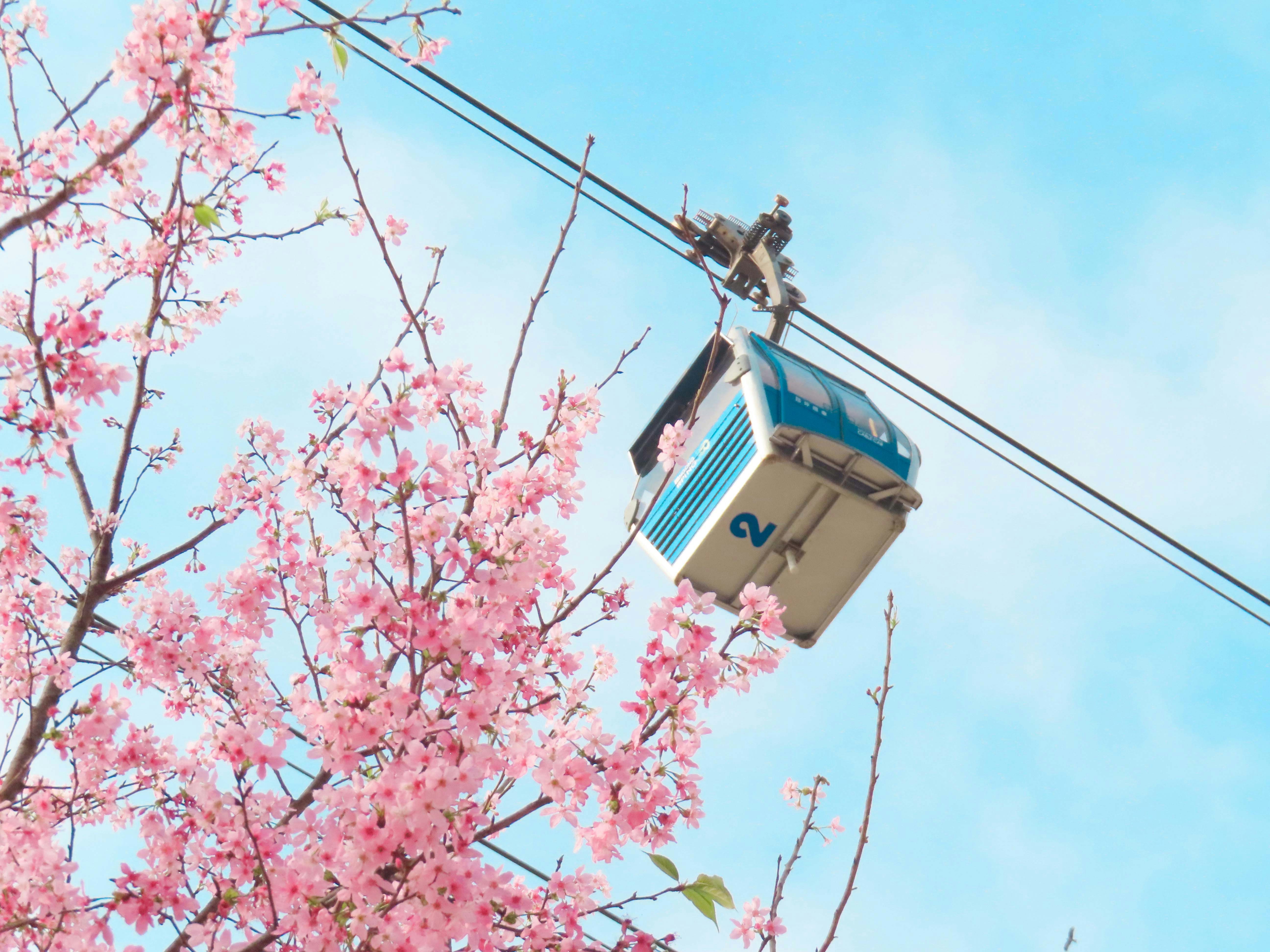 Ir para o perfil de Today'z Capture