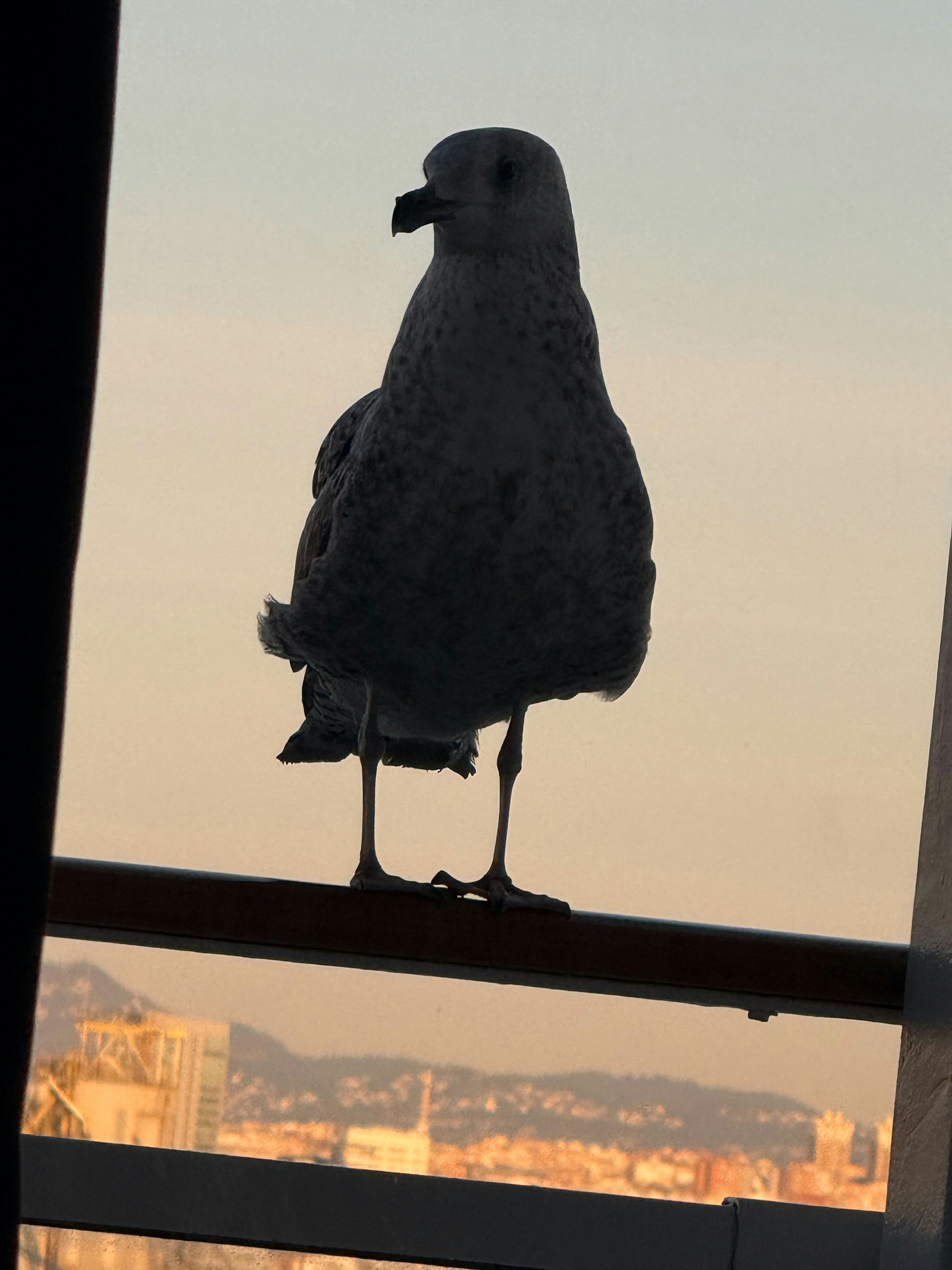 Go to Freddie Entin's profile