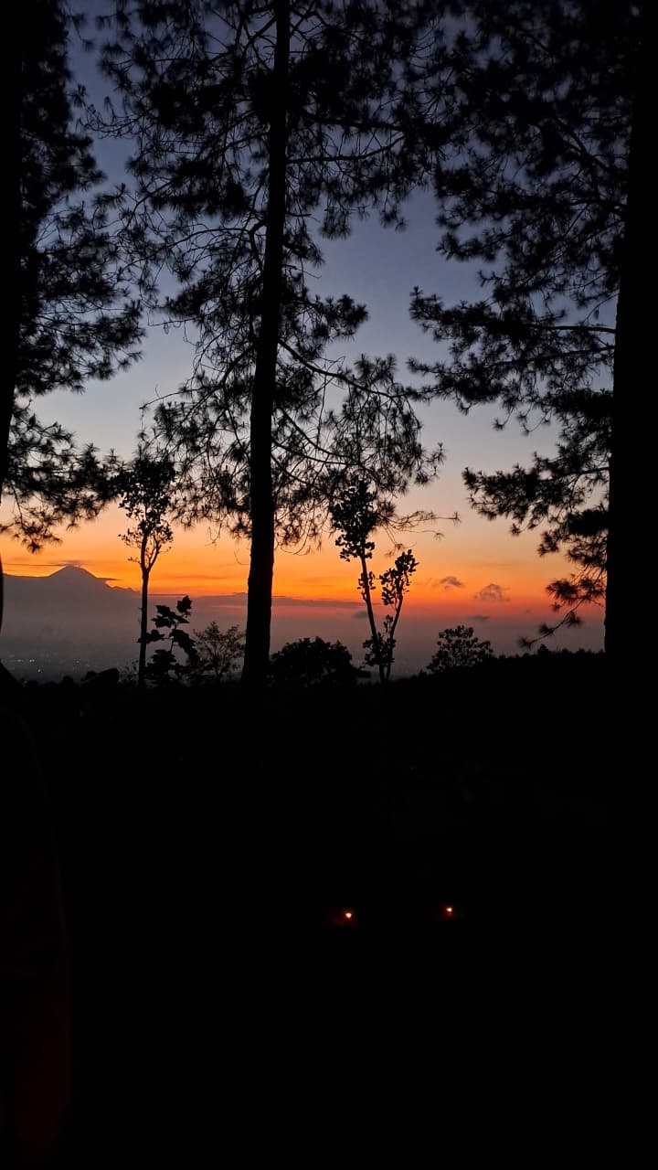 Go to Masayu Zulfidyah's profile