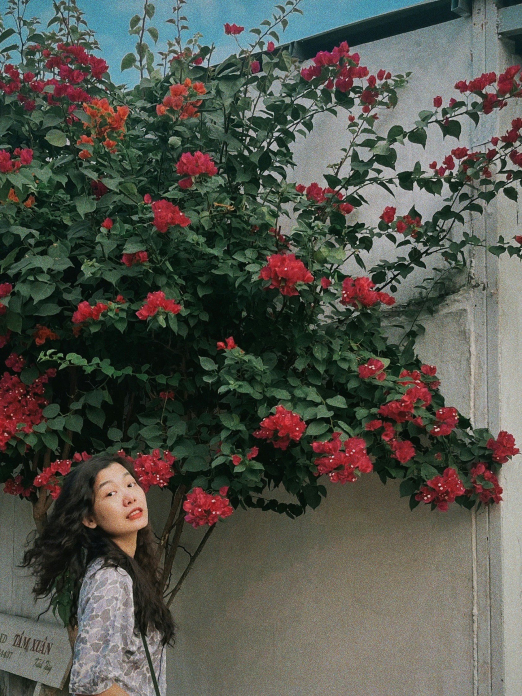 Go to Amy Vo's profile