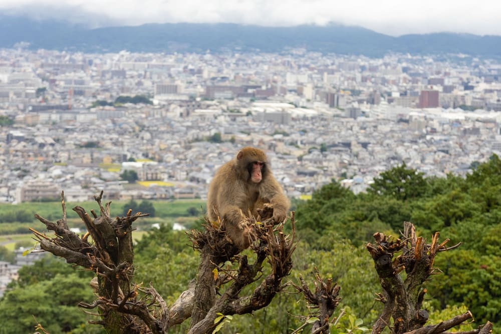 Go to Andrew Schofield's profile