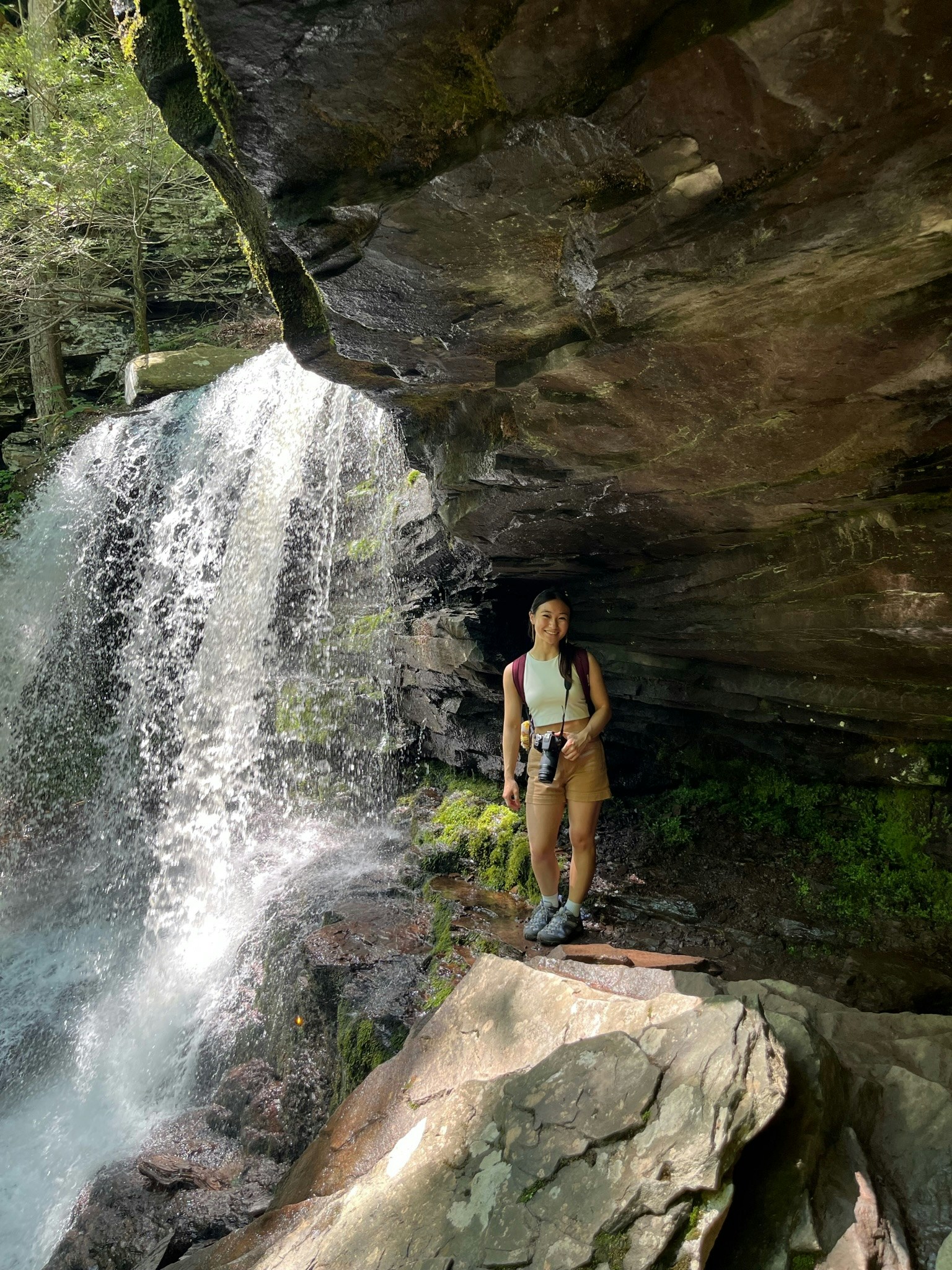 Go to Sarah Dao's profile