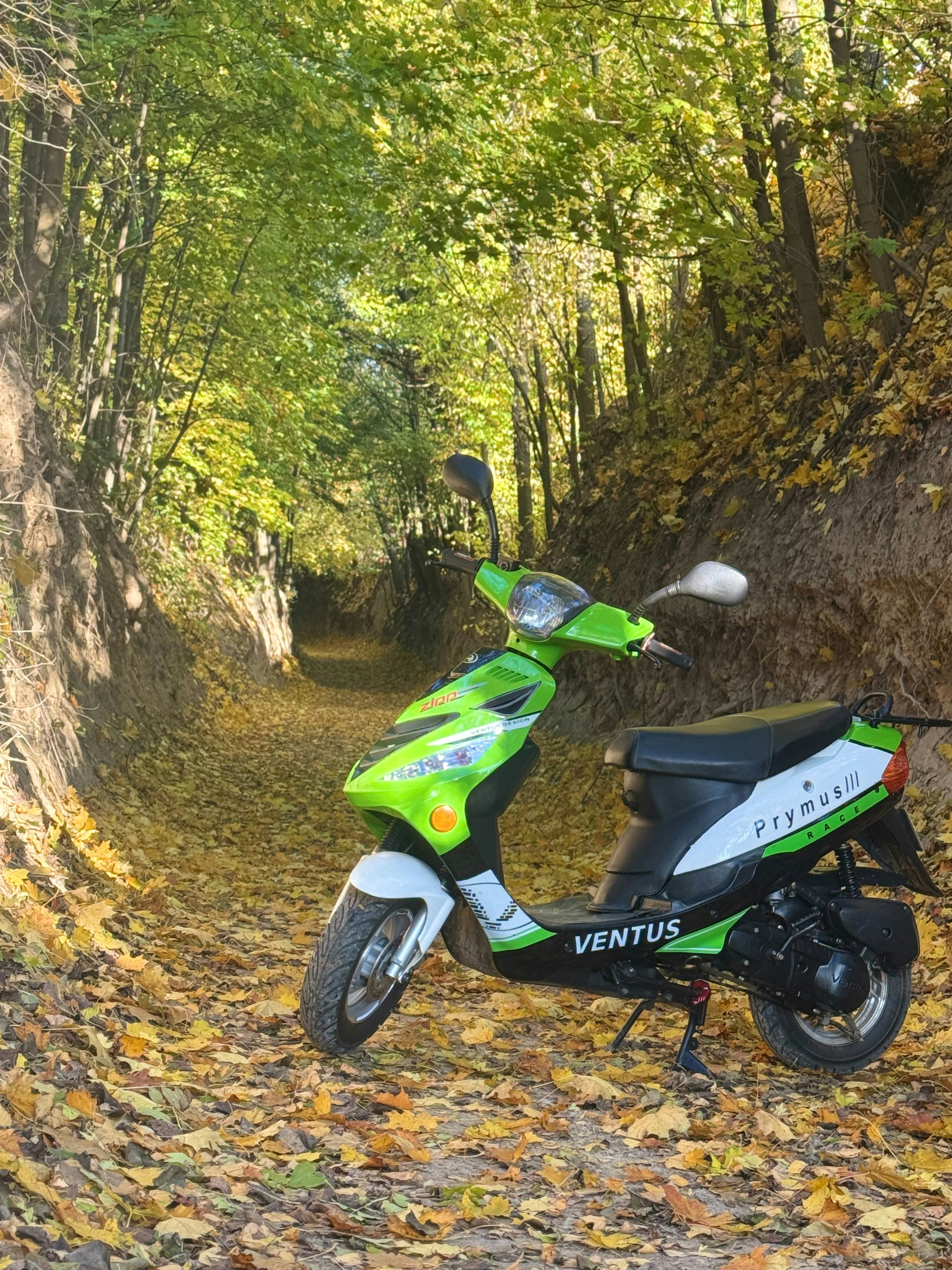 Ve al perfil de Sebastian Piękoś