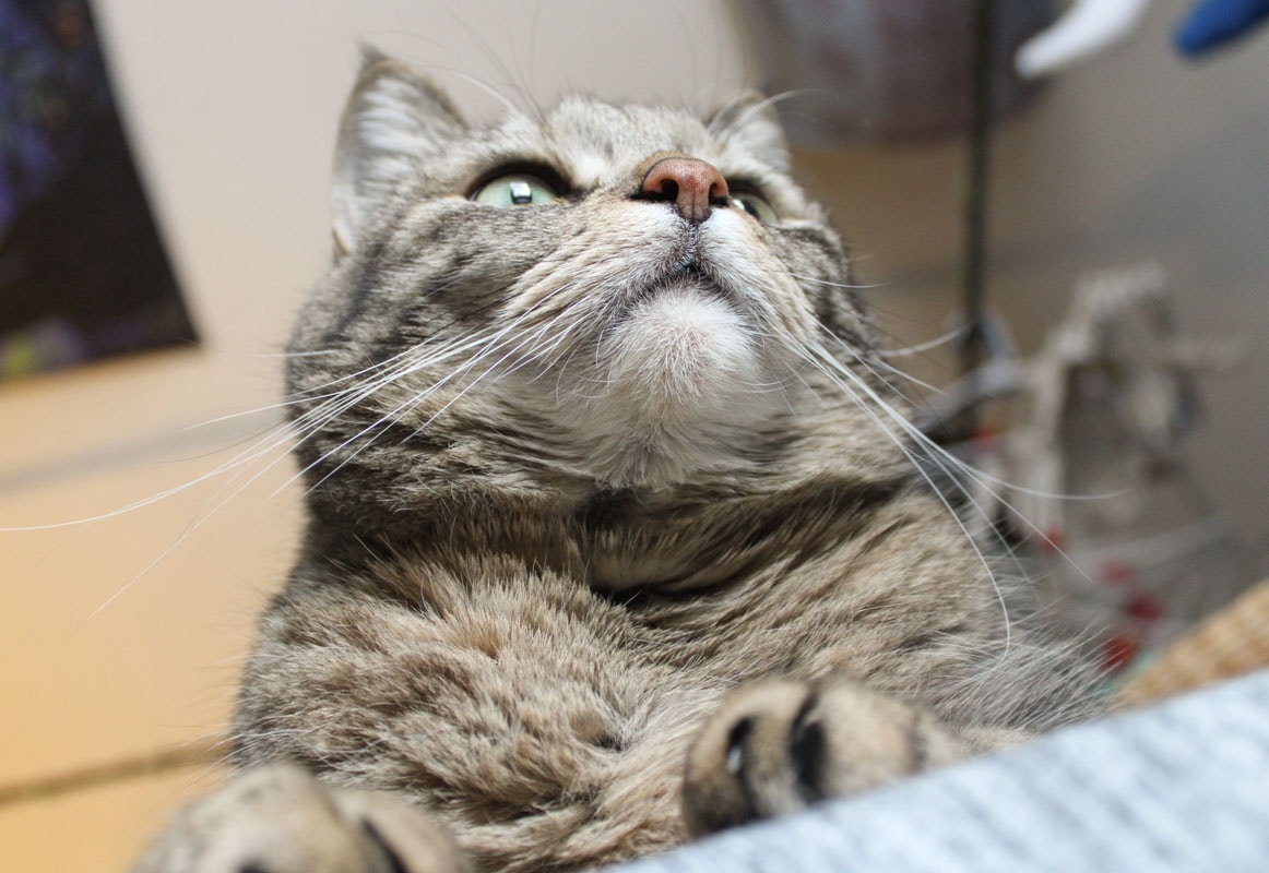 Go to Ray T's profile