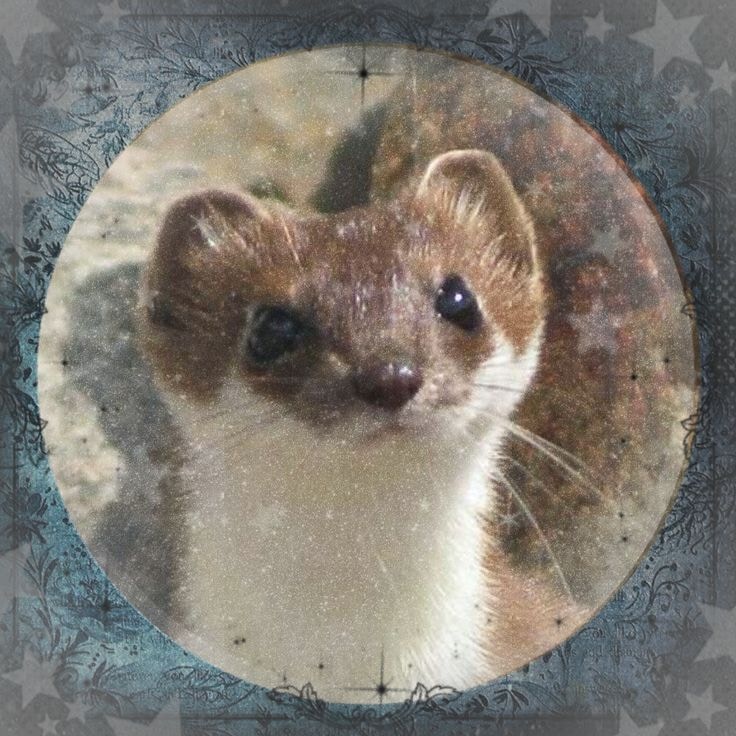 Go to 鬍子店長's profile