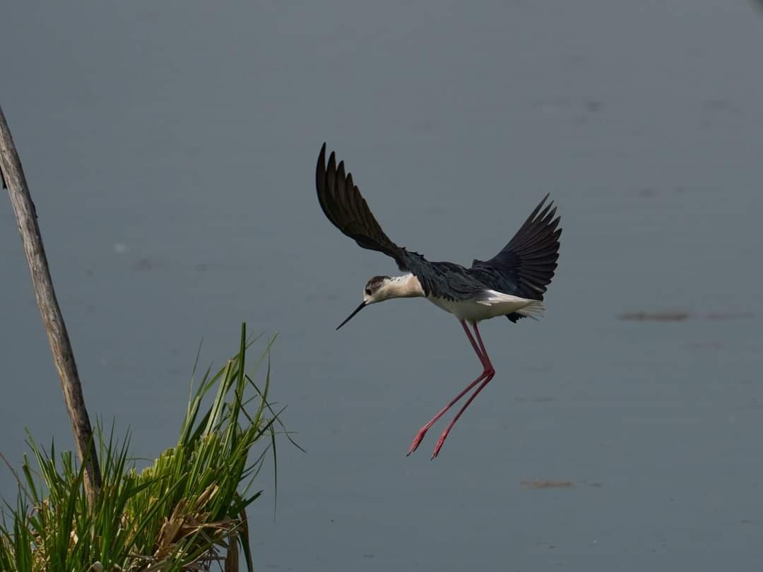 Go to Gio L's profile