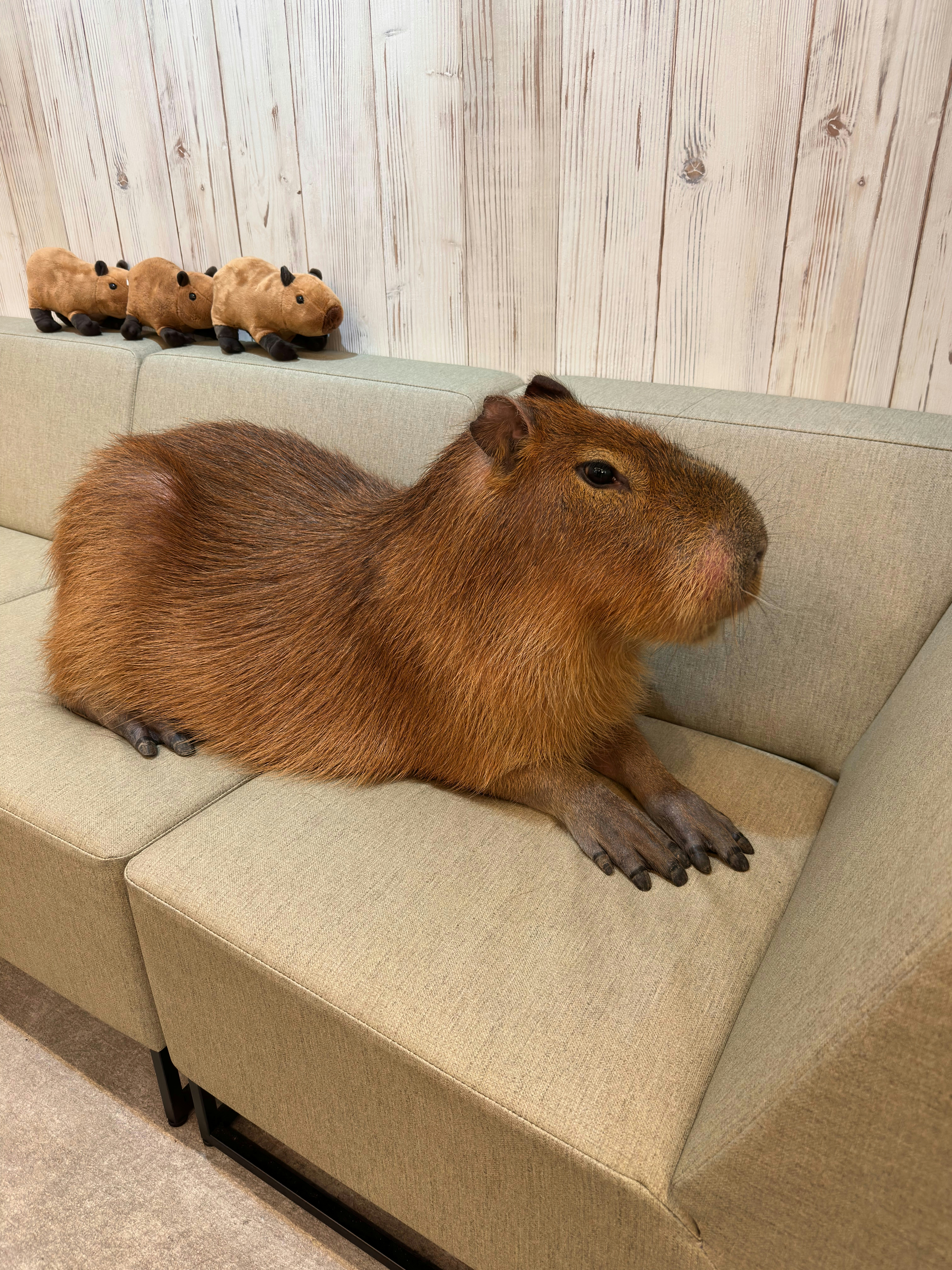 Go to Nathan's profile