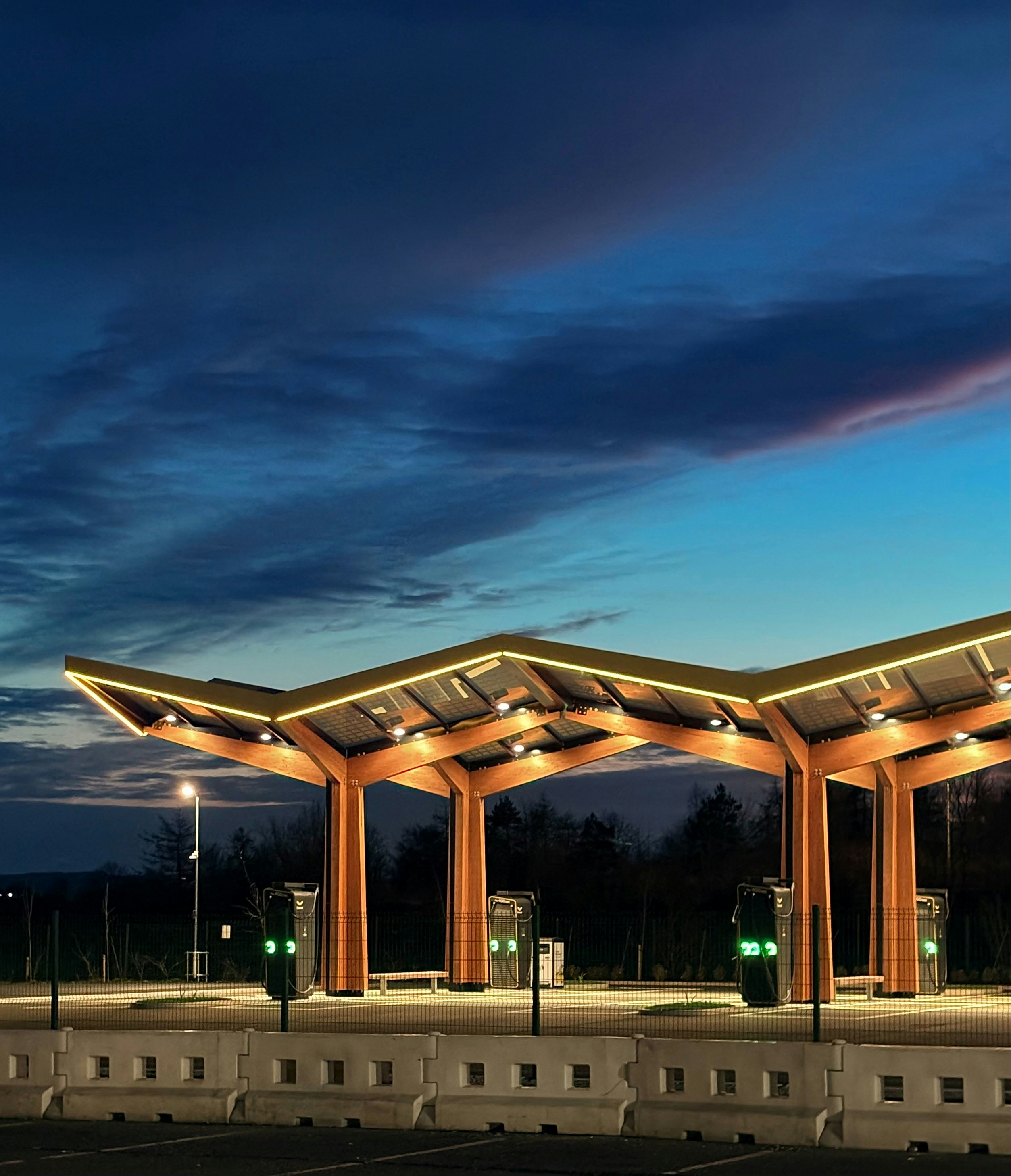 Zum Profil von Dan Loftus