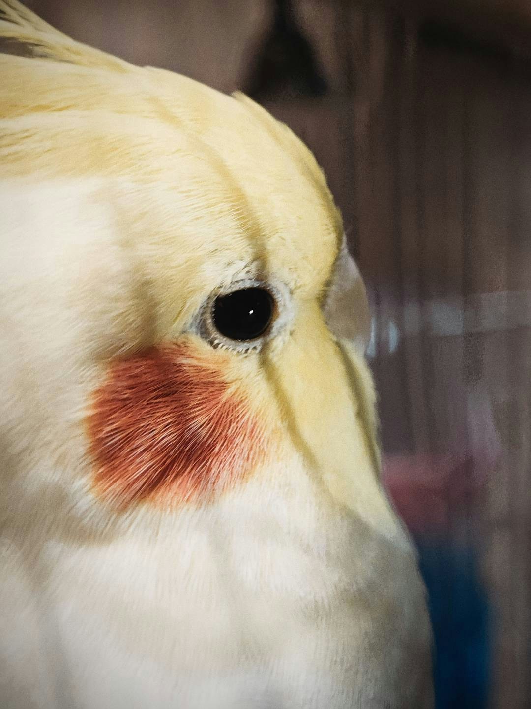 Go to jin cl's profile