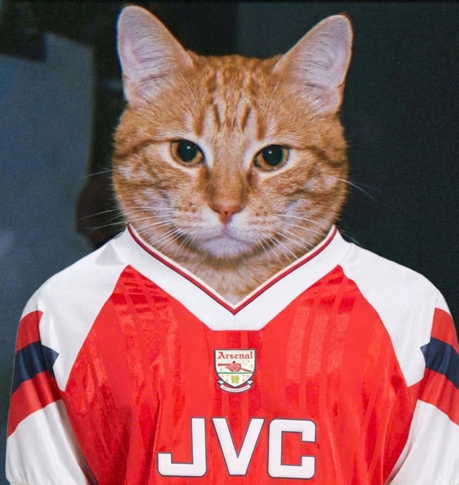 Accéder au profil de Quân