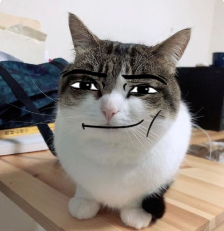 Go to No Name's profile