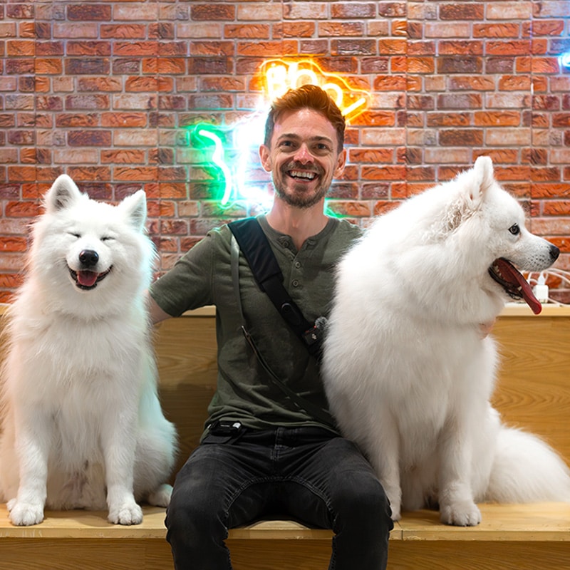 Go to Justin Veenema's profile