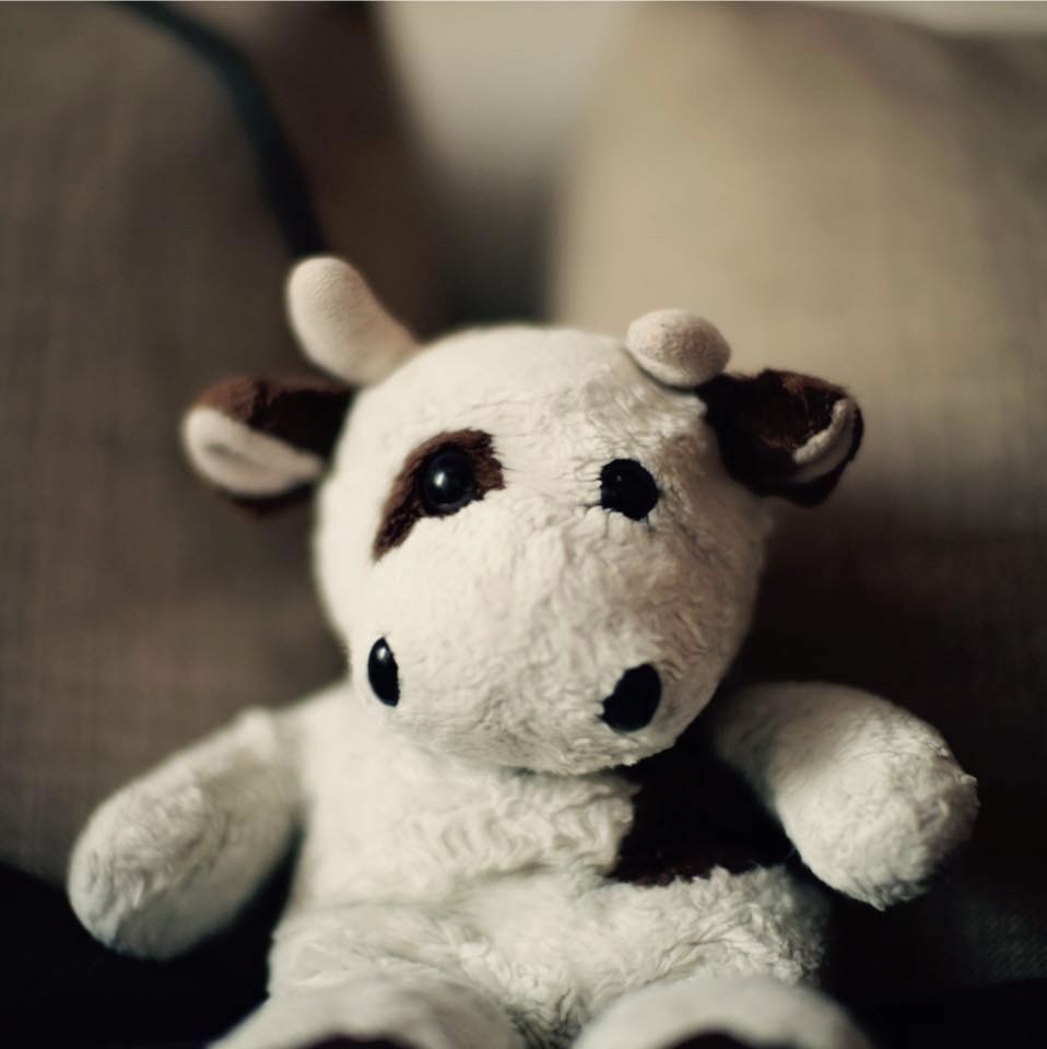 Go to Damon Lam's profile