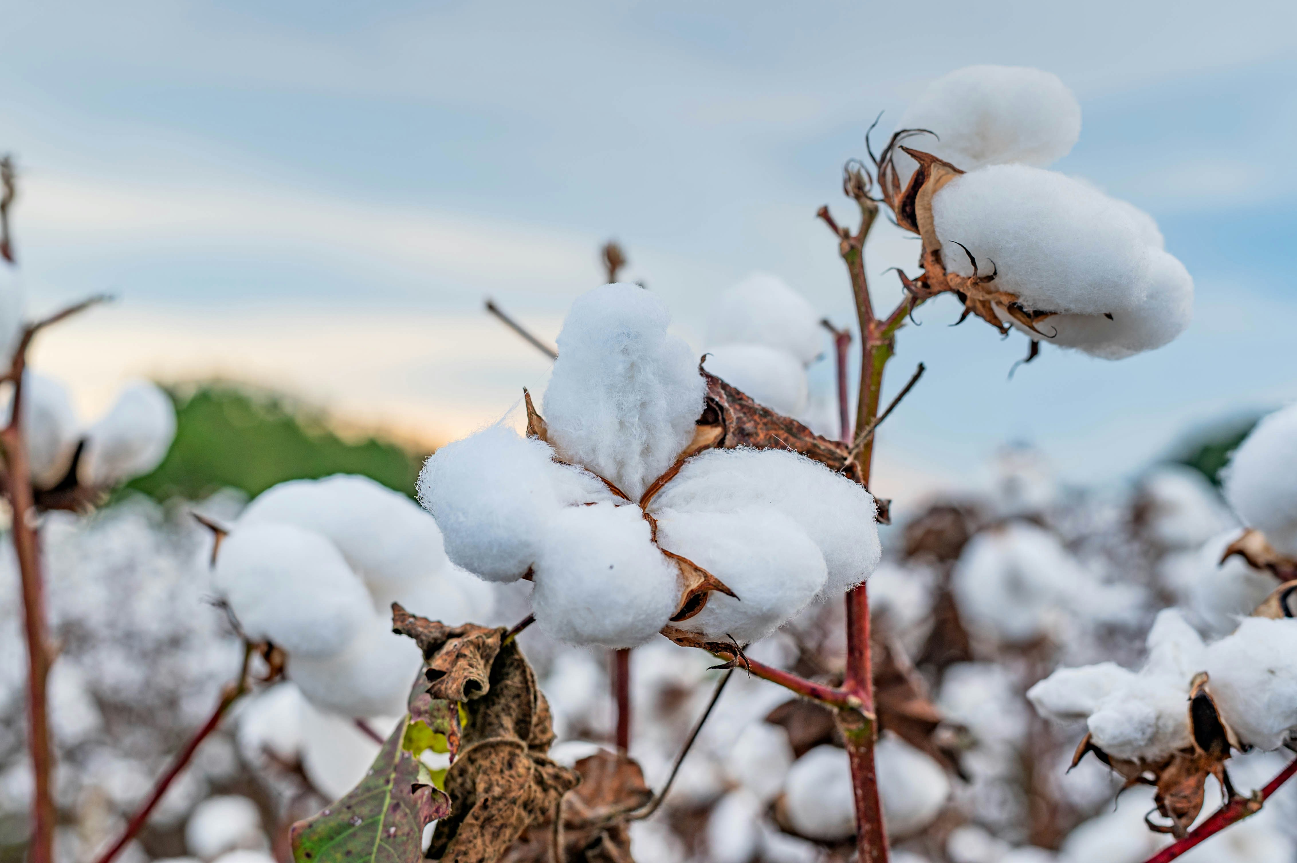 Go to Charity Susanna's profile