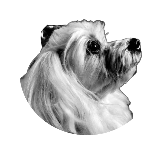 Ir para o perfil de Jay Pee