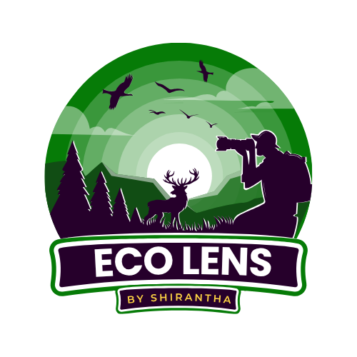 Zum Profil von EcoLens Shirantha