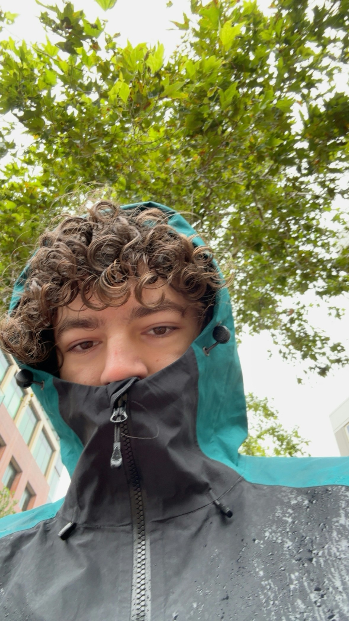 Accéder au profil de Liam Scotchmer