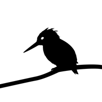 Go to Martin Collet's profile