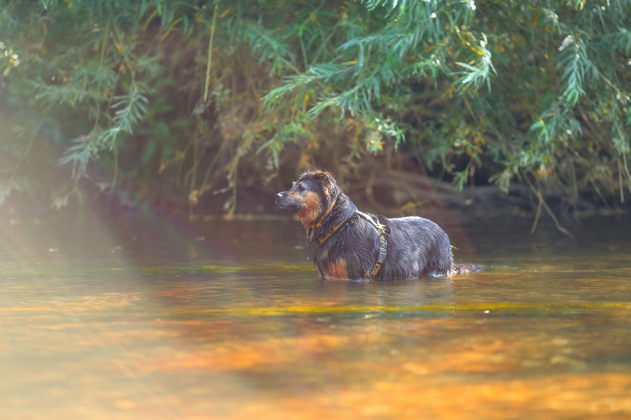 Go to AcidFern's profile