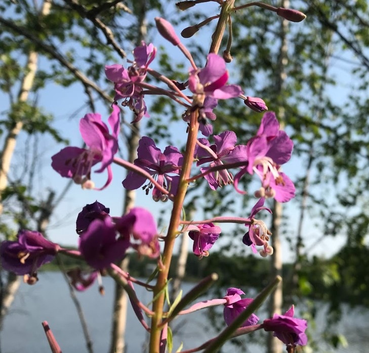 Go to Samantha Belle's profile