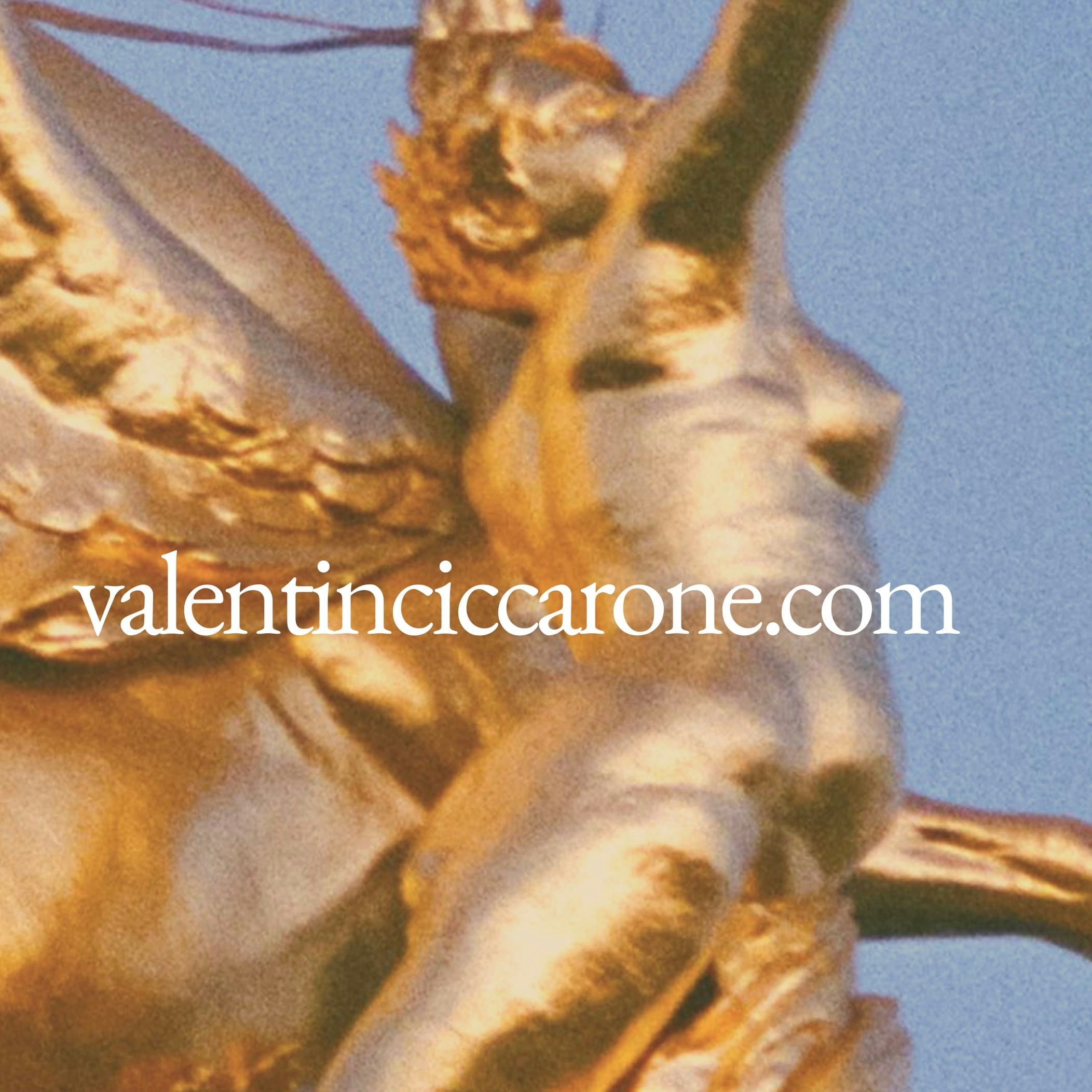 valentin ciccaroneのプロフィールを見る
